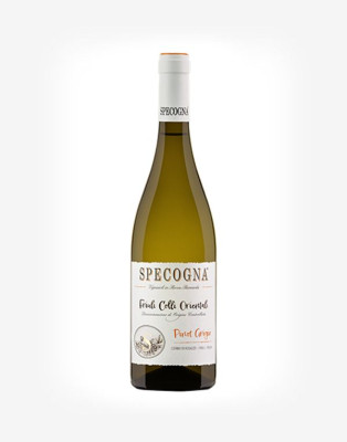 Pinot Grigio